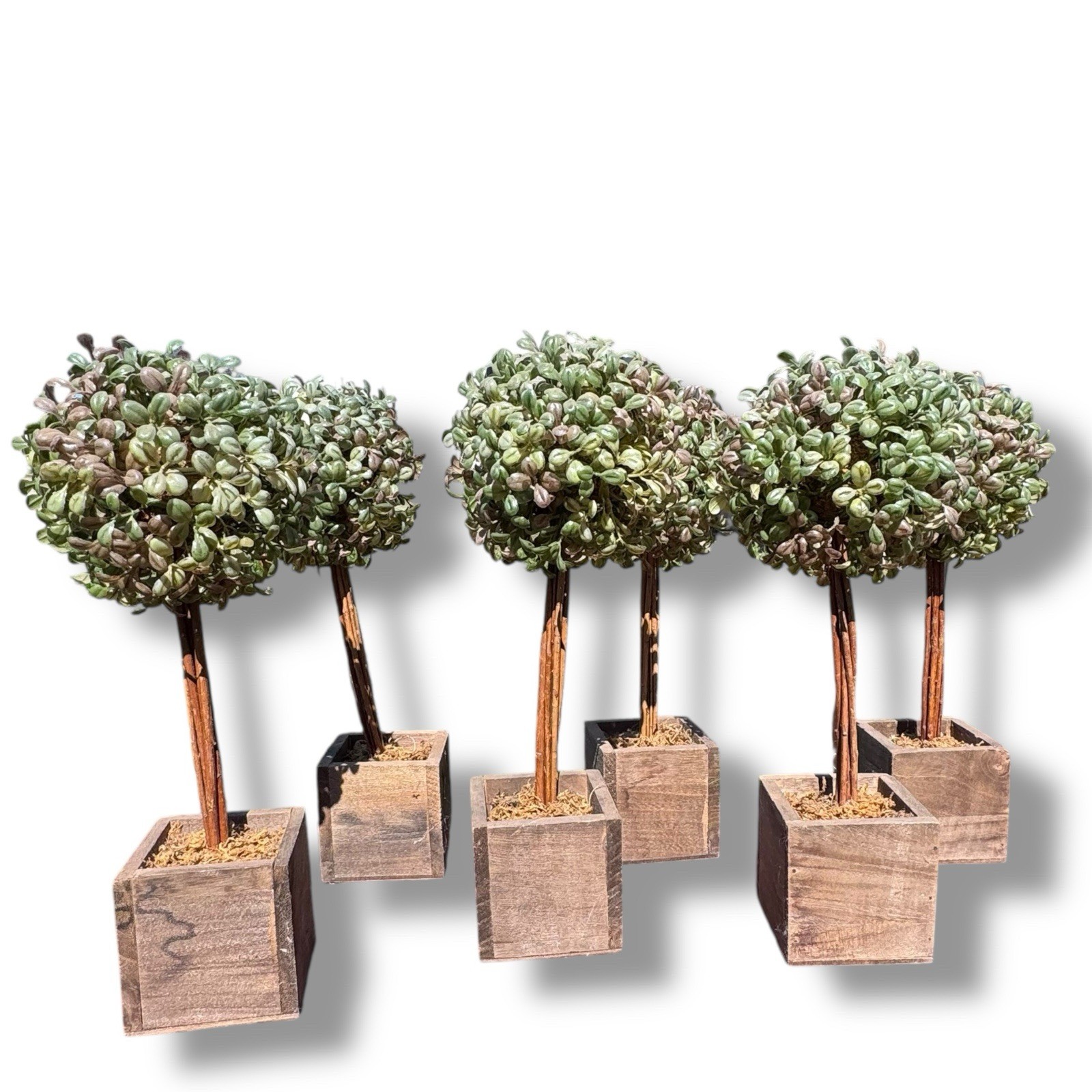 Artificial Tabletop Boxwood Topiary Trees Cottage House Granny Core Round Plant gallery