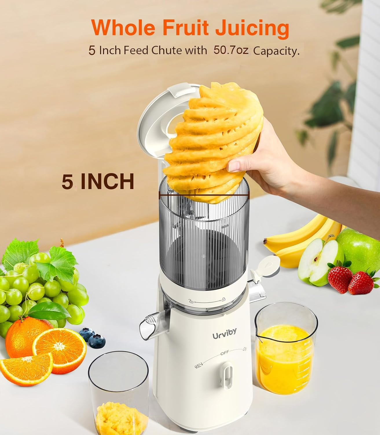 Juicer Machines, 2-In-1 Cold Press Juicer for Juice & Sorbet, Suit for Vegetable gallery