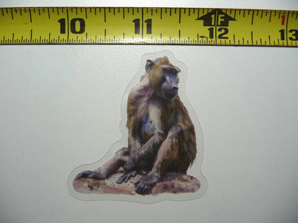 HAMADRYAS BABOON SMALL STICKER DECAL WILDLIFE COLORFUL ZOO FUNNY