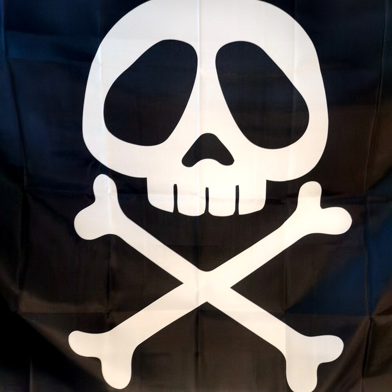 Captain Harlock Space Pirate Flag 90x150cm 3x5FT Skull Banner Outdoor Polyester gallery