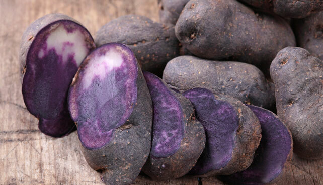 Simply Seed Blue Potato Seed 3 LB Ready To Grow Farm Fresh Non GMO gallery