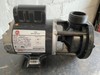 Aqua Flo Gecko Circulating Pump CMCP, 1/15hp, 230v, 1-1/2", OEM gallery