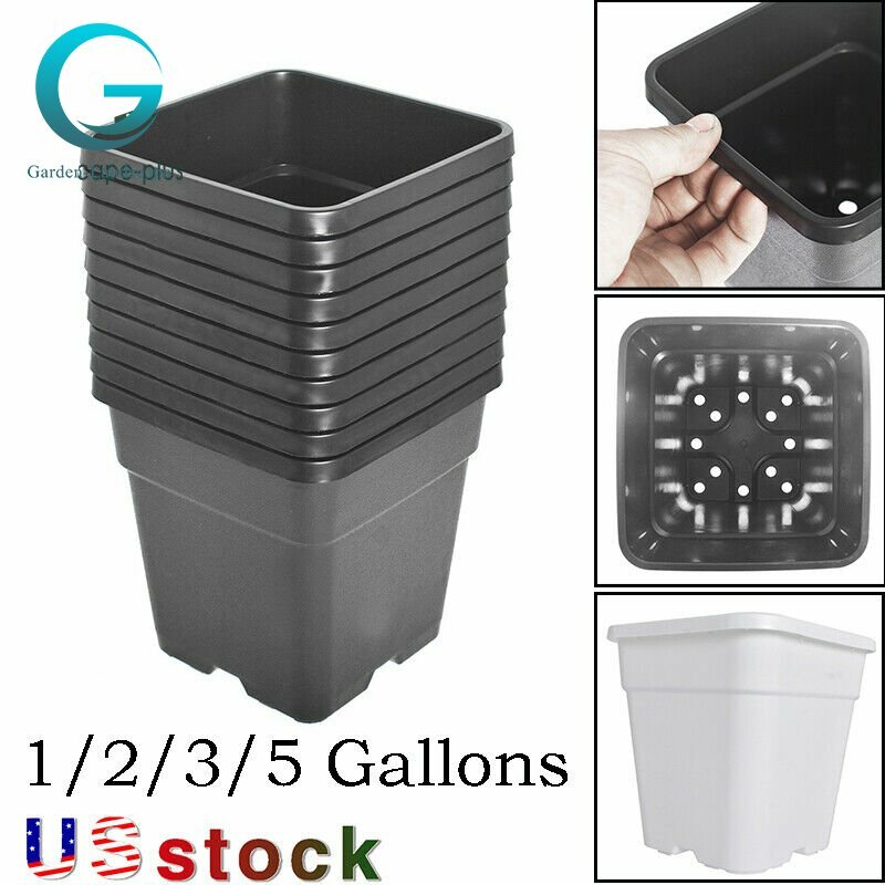 1/2/3/5 Gallon Plastic Grow Pots Plant Bonsai Square Garden Container 10 Pack US gallery