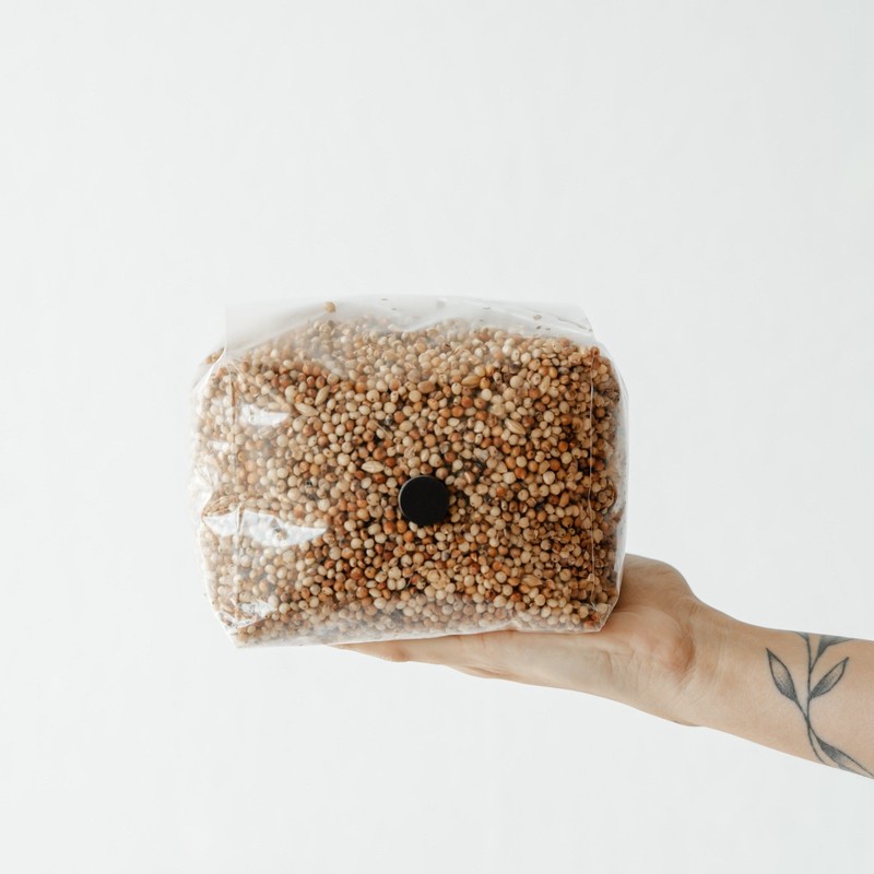 6 Pack | 3lb Milo Sorghum Grain Spawn gallery