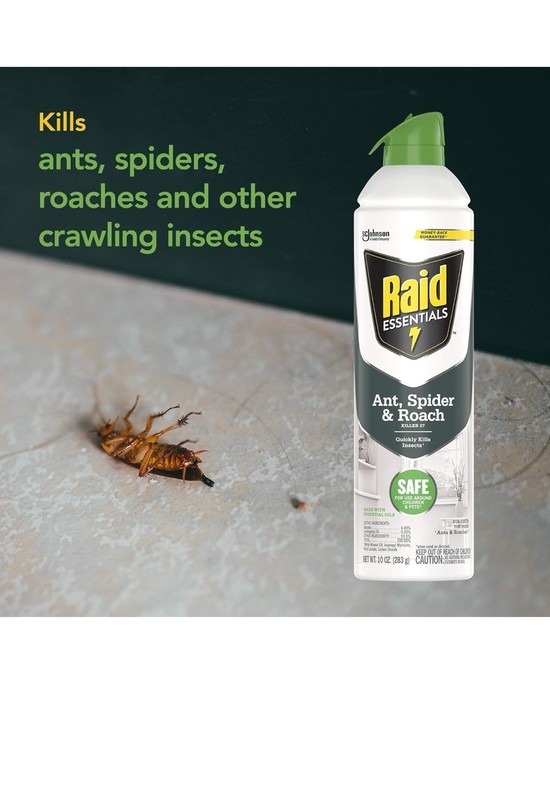 Pack of Raid Essentials Ant, Spider & Roach Killer 27 Aerosol Spray, 10 Oz( 3pc) gallery