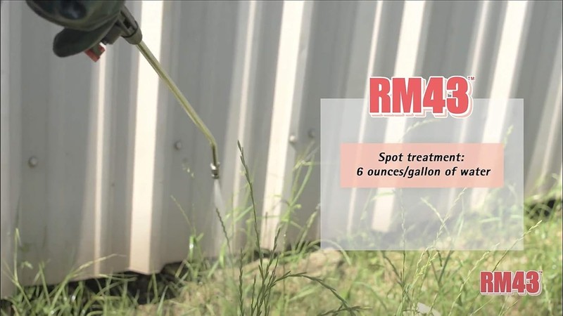 RM43 Concentrated Extended Control Weed Killer gallery