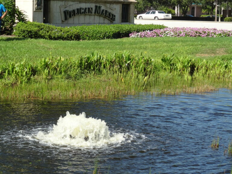 F500 Surface Aerator: .5HP, 115V, 100' cord; complete unit with black sq float gallery