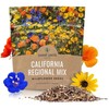 Adaptable California Wildflower Mix - 7,000 Seeds in 1 Ounce for Stunning Blooms gallery