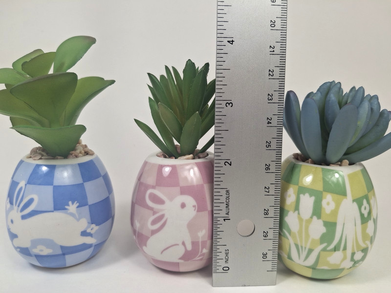 Celebrate Together Easter Egg Faux Succulent Plants Set of 3 Ceramic 3–4” New gallery