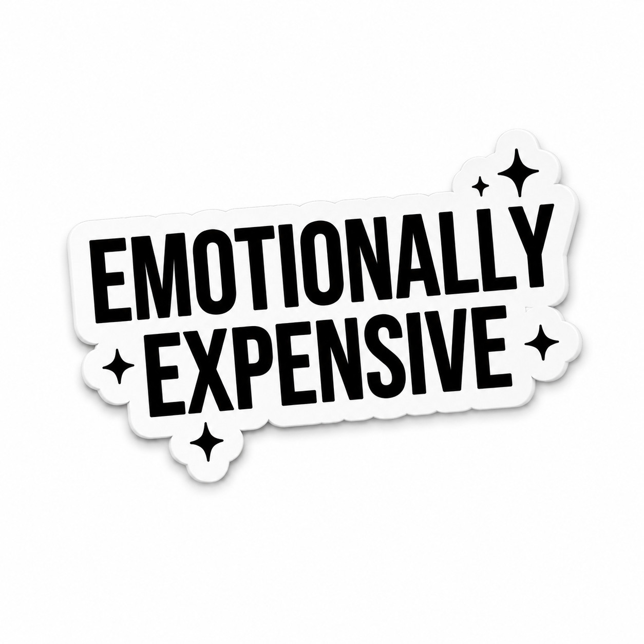 Emotionally Expensive Sticker Funny Sarcastic Quote Vinyl Decal Laptop Bottle gallery