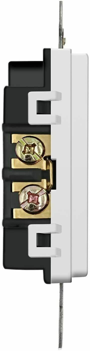 50 Pack Outlet Decora Duplex Receptacle, 15 Amp, 125 Volt, Tamper Resistant gallery