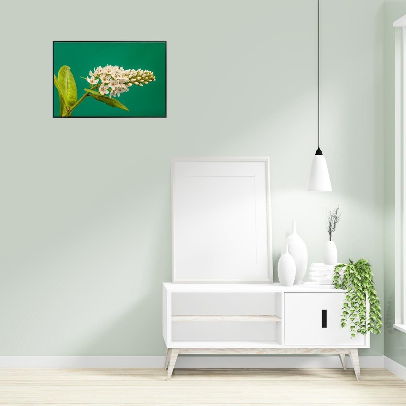 Lysimachia Clethroides Botanical Print – Elegant Floral Nature Wall Art gallery
