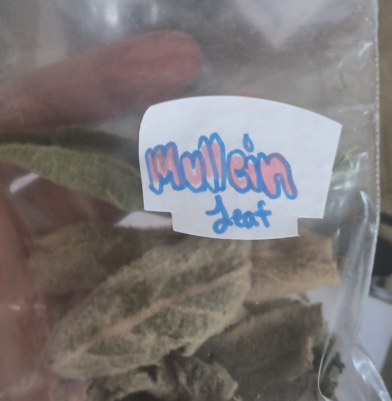 DRIED MULLEIN LEAF, loose Single Herb, MEDICAL HERB gallery