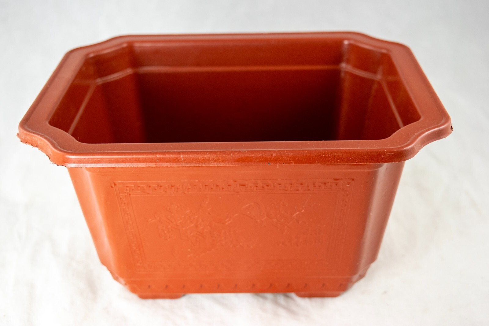 Rectangular Plastic Cactus & Succulent, Bonsai Training Tall Pot 7.25" to 17.5" gallery