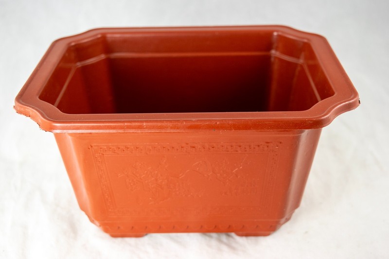 Rectangular Plastic Cactus & Succulent, Bonsai Training Tall Pot 7.25" to 17.5" gallery