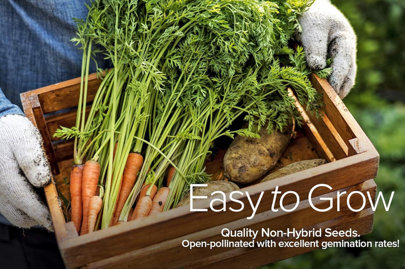 Winter, Fall, and Spring Vegetable Seeds for Planting | Cool Weather Crops | 8 V gallery