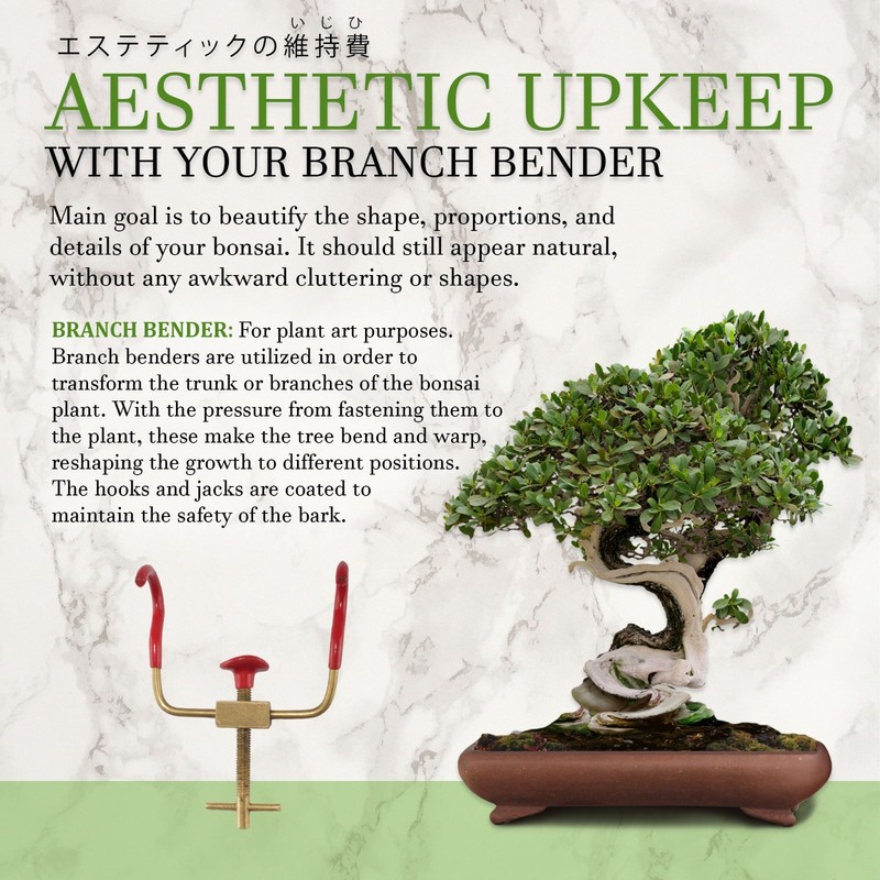 2 Bonsai Branch Bender Tools - BambooMN gallery