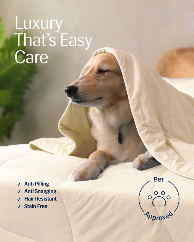 ® Evercool® Cooling Comforter, Twin/Twin XL, Blanket for Hot Sleepers, All Se... gallery