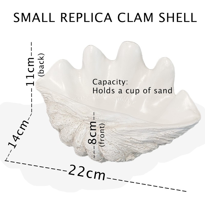 Small Clam Shell Sculpture - Handcrafted White Resin Replica - Seashell for Home gallery