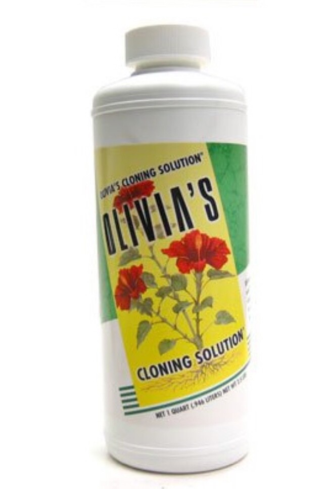 Olivia's Cloning Solution, 1 qt