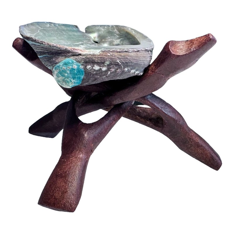 HUGE Abalone Shell & Tripod cobra Stand 6" inchs perfect Burning kit ~ FREE SHIP gallery