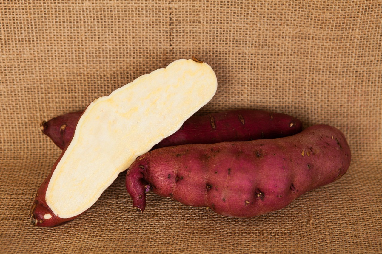 10 Sweet Potato Slips Plants - Red Japanese -Vining Type-Non GMO & Chemical Free gallery