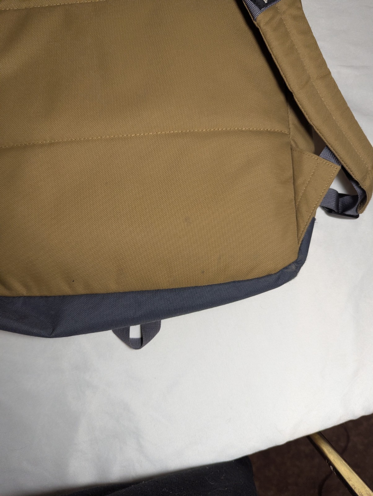 Patagonia Arbor Day Back Pack Classic Design Beige 5