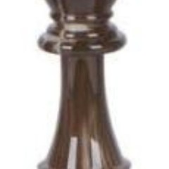 amorphous compact chess pieces Only for 1587452,1pc,second-hand products