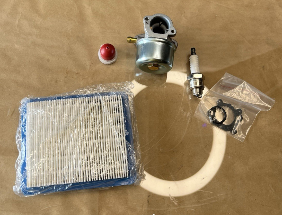 Carburetor w/Filter Gaskets & Plug Kit Set For BS 799868 799872 790821 498170 gallery