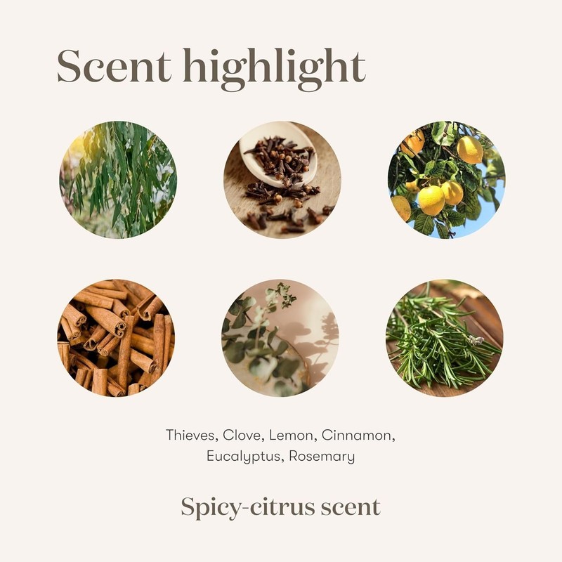 Plant-Based Multi-Surface Cleaner - 14.4 oz, Essential Oils for Home Use gallery