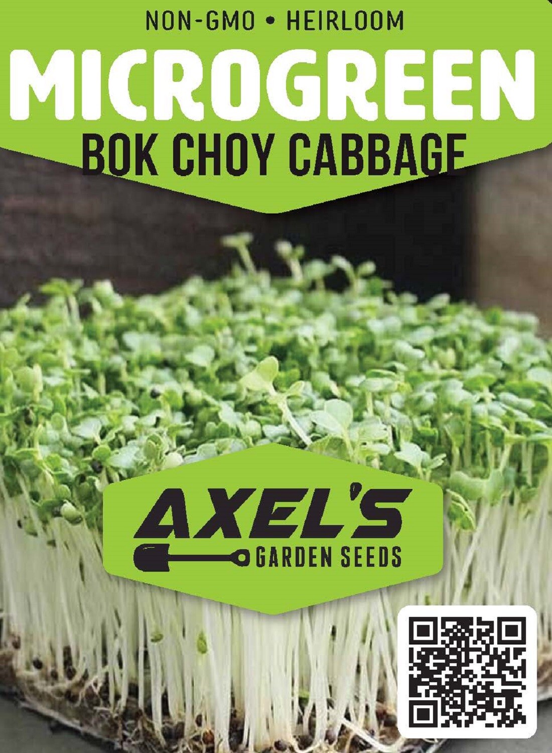 Bok Choy Cabbage MICROGREEN Seeds | Non-GMO | Heirloom | Seeds for Sprouting gallery