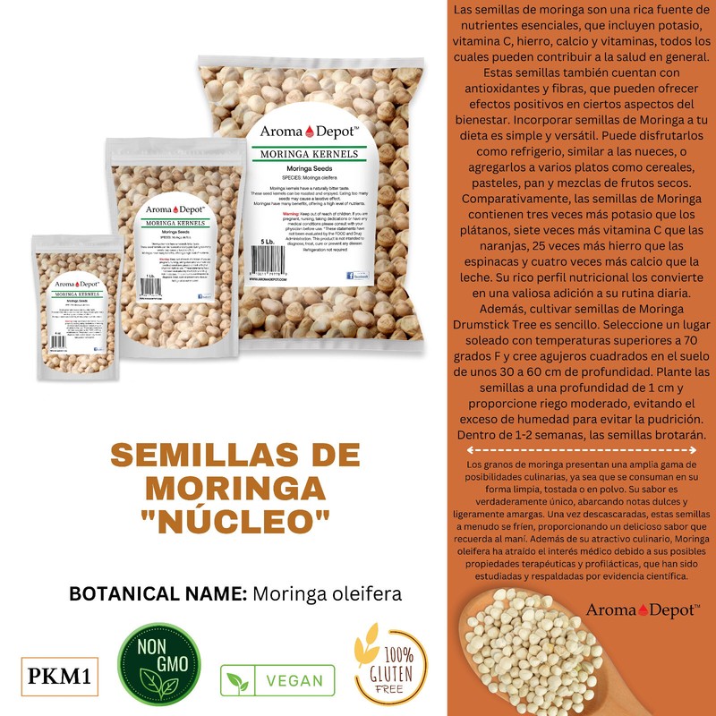 Moringa KERNELS 2 oz. Seeds oleifera Shelled 250 Semilla De Moringa Wholesale gallery