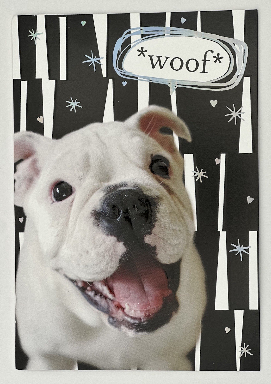 “ HAPPY BIRTHDAY GREETING CARD” ALL AGES / CUTE DOG / FUN gallery