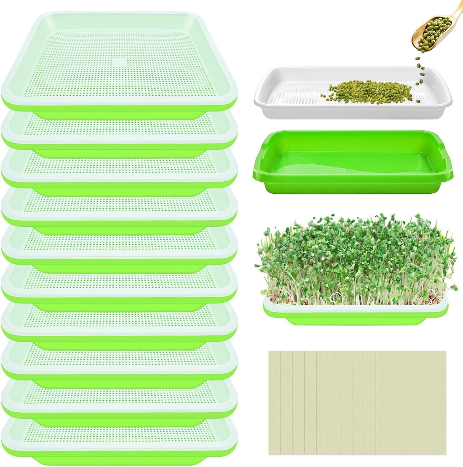 12 Complete SETS Seed Sprouter Tray with Drain Holes Nursery Microgreens Growing gallery