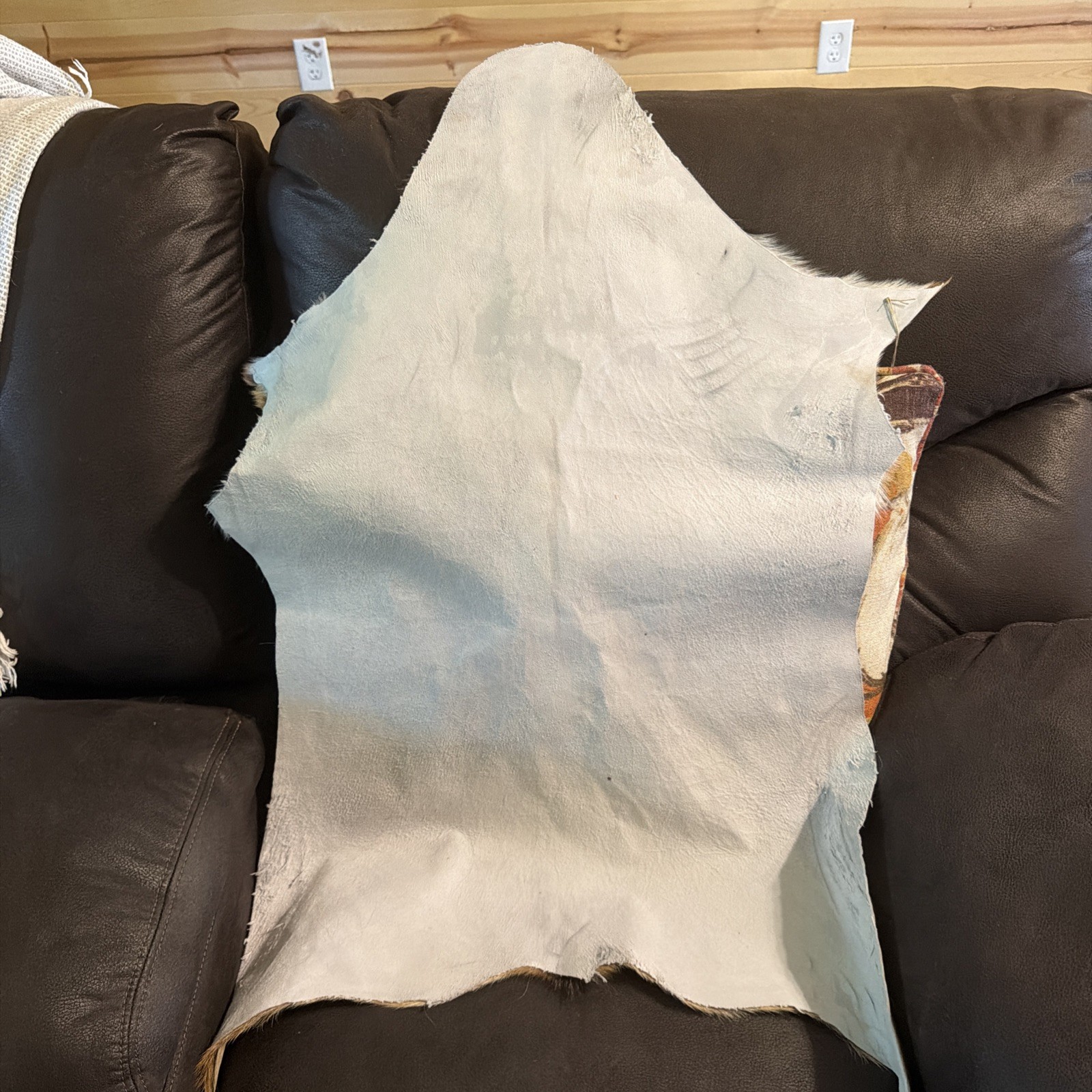 GOAT taxidermy Hide Rug Natural Pattern Fur. Excellent Condition gallery
