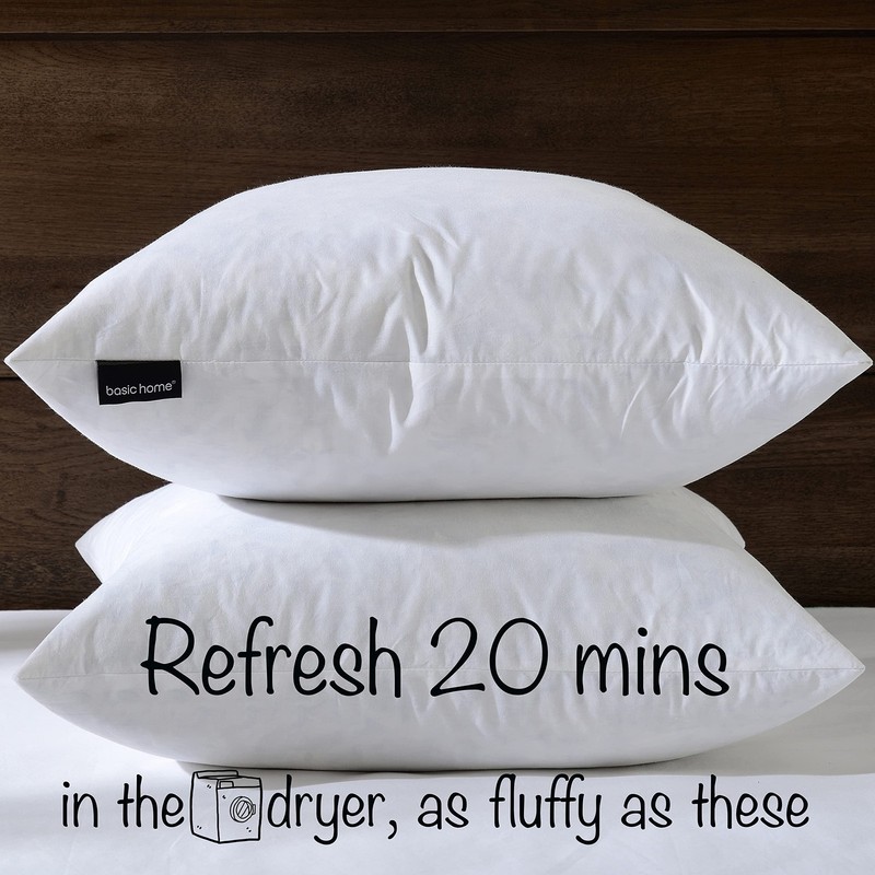 18x18 Decorative Throw Pillow Inserts-Down Feather Pillow Inserts-Square-Cotton gallery