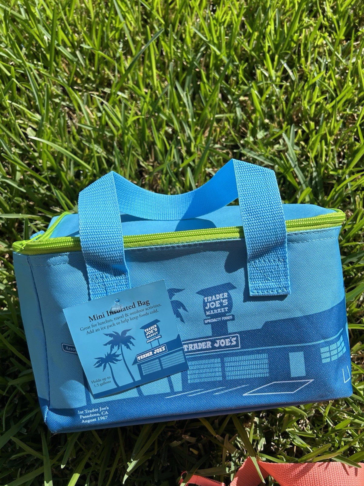 Trader Joe's MINI INSULATED LUNCH TOTE BAGS - Aqua /blue New gallery
