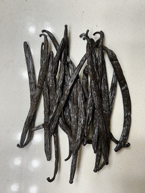 Vanilla Beans 1 lb, Planifolia grade A, free advise from Ph.Ds ; ORGANIC gallery
