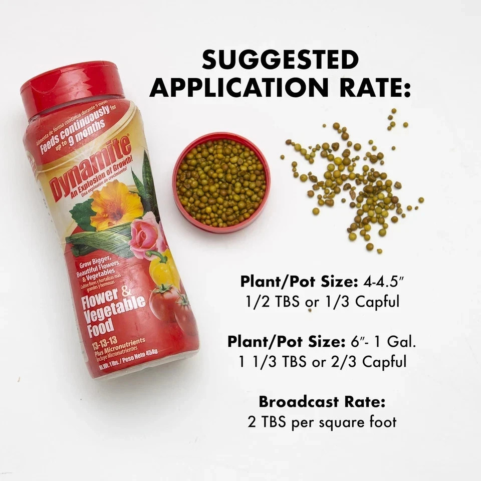 Dynamite 1 lb. All-Purpose Flower and Vegetables Plant Food gallery