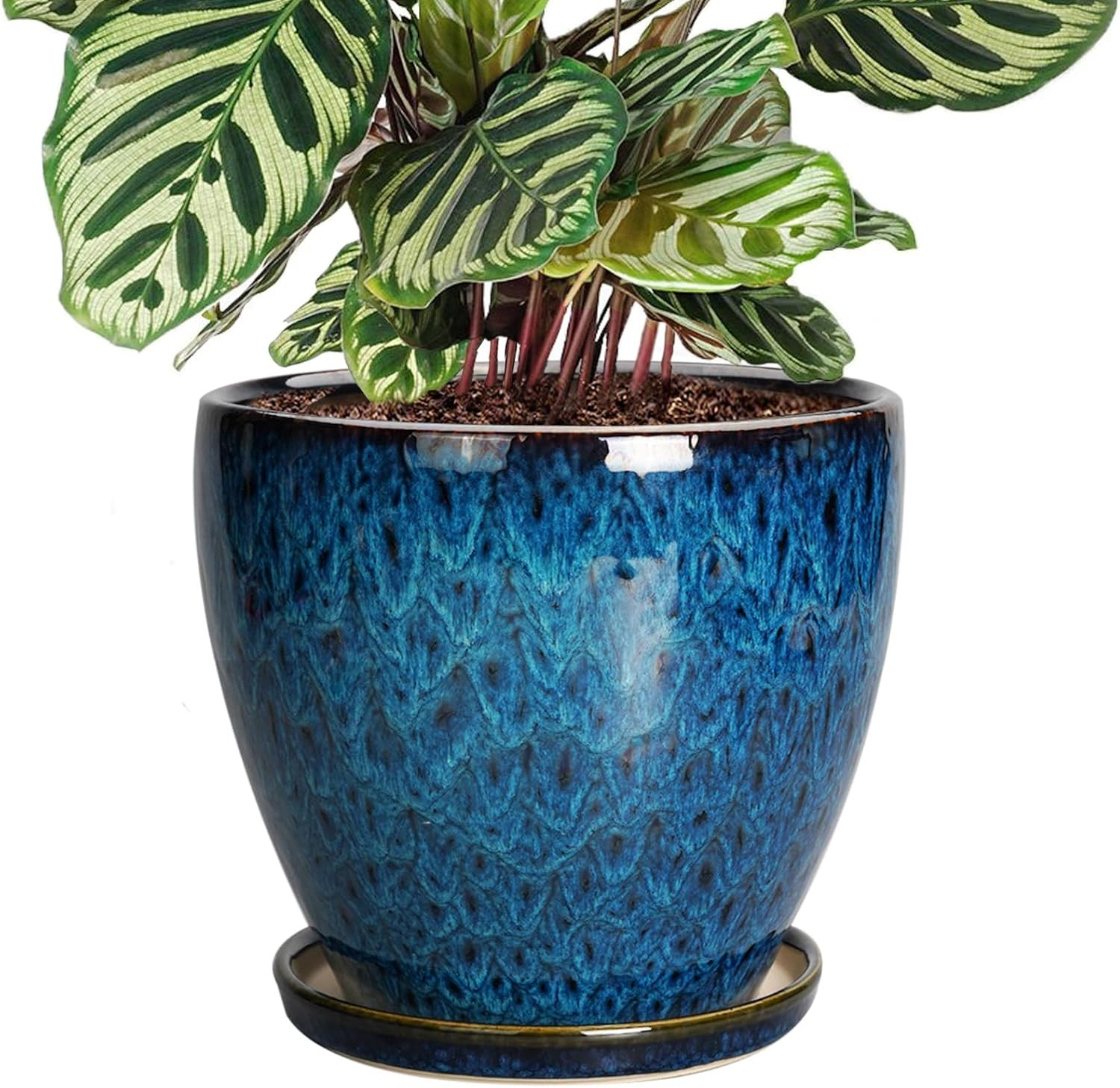 8 Inch Ceramic Planter Pot with Drainage Hole and Saucer, Ceraimc Plant Pot roun gallery