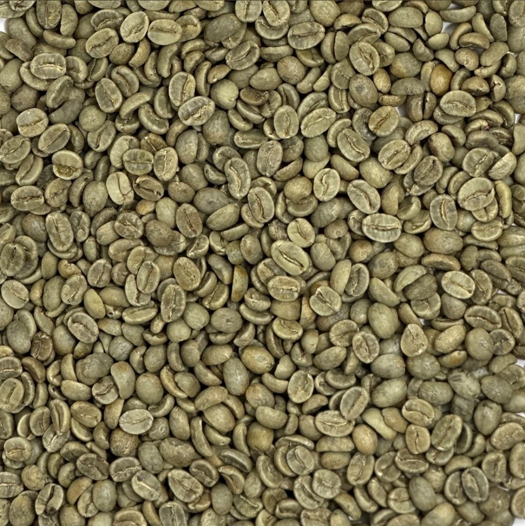 Green Coffee Beans / Colombian Supremo Huila / 10 Pound / UNROASTED gallery