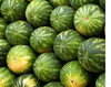 RARE GIANT FLORIDA WATERMELON FRUIT -10+ SEEDS -COMBINE SHIPPING DISCOUNT - US gallery