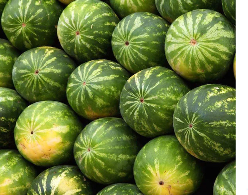 RARE GIANT FLORIDA WATERMELON FRUIT -10+ SEEDS -COMBINE SHIPPING DISCOUNT - US gallery