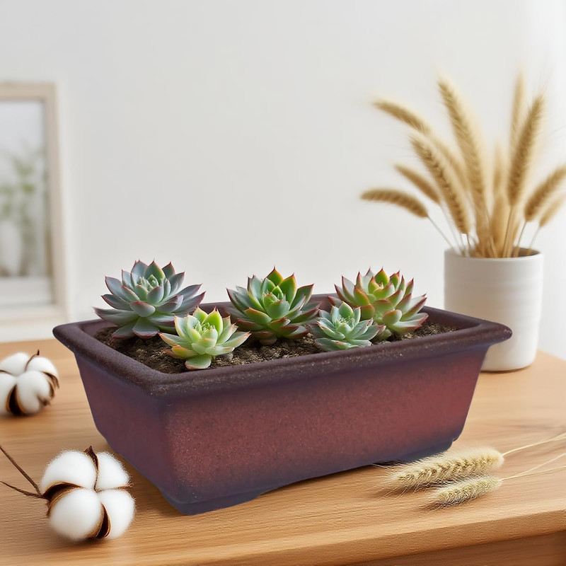 Decorative Ceramic Bonsai Planter Pot 8.5 Inch with Tray, Breathable Unglazed Re gallery