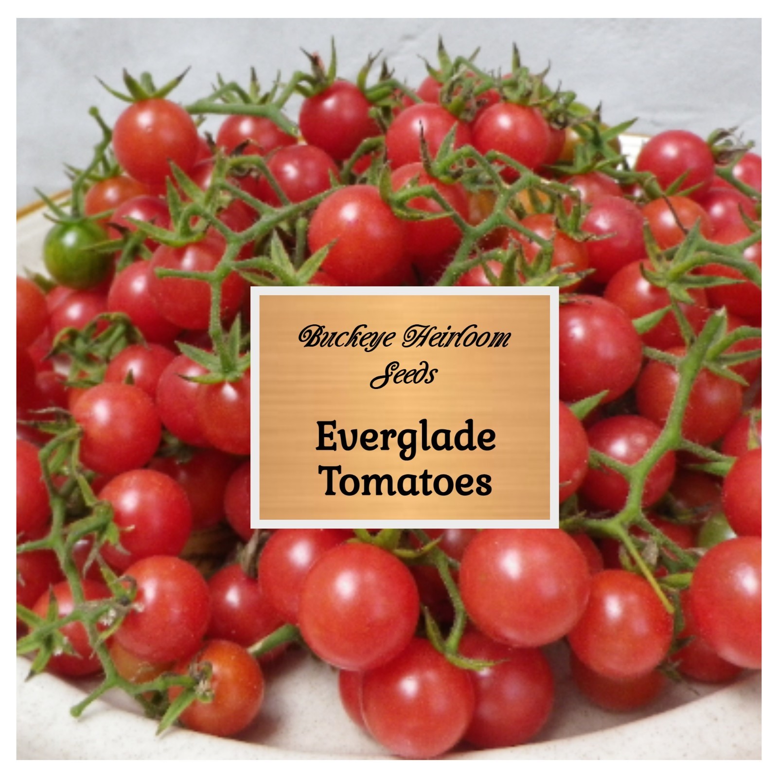 Florida Everglades Tomato - Seeds - Florida Native - heat tolerant - Heirloom gallery