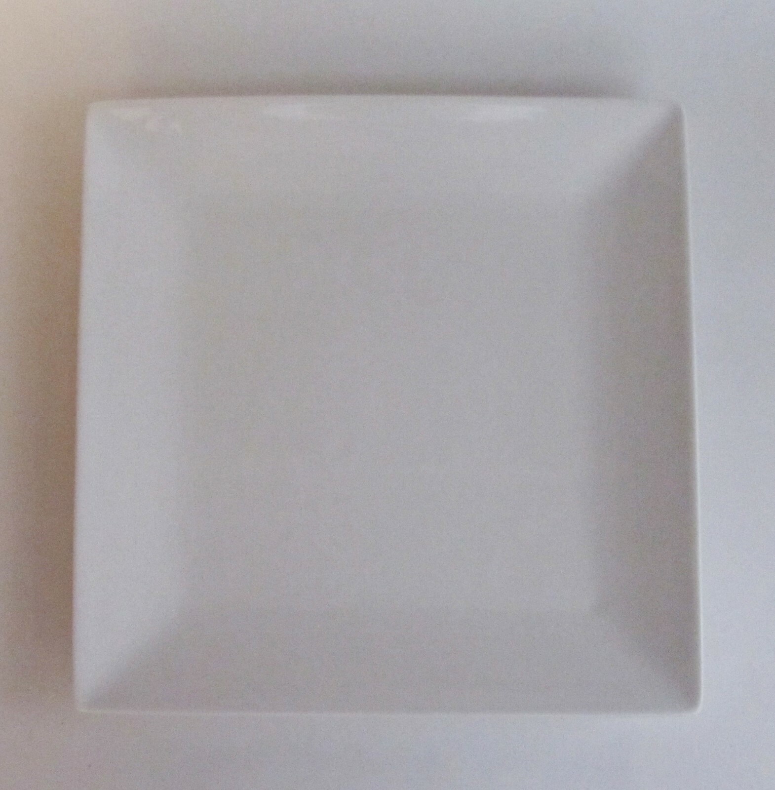 PURE Plain White Mono Tech guide paper gallery