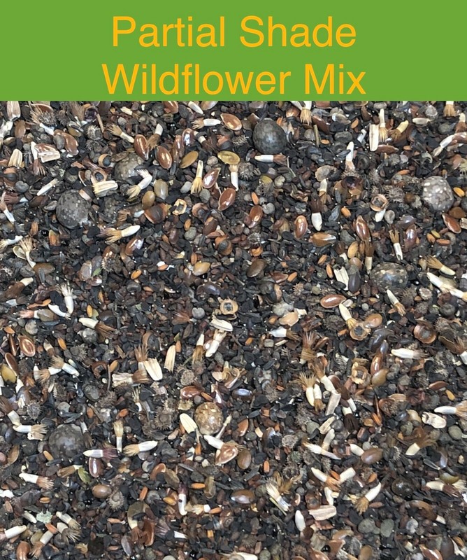 Landscaper's Pack PARTIAL SHADE Wildflower Mix Assorted Non-GMO 3000+ Seeds! gallery