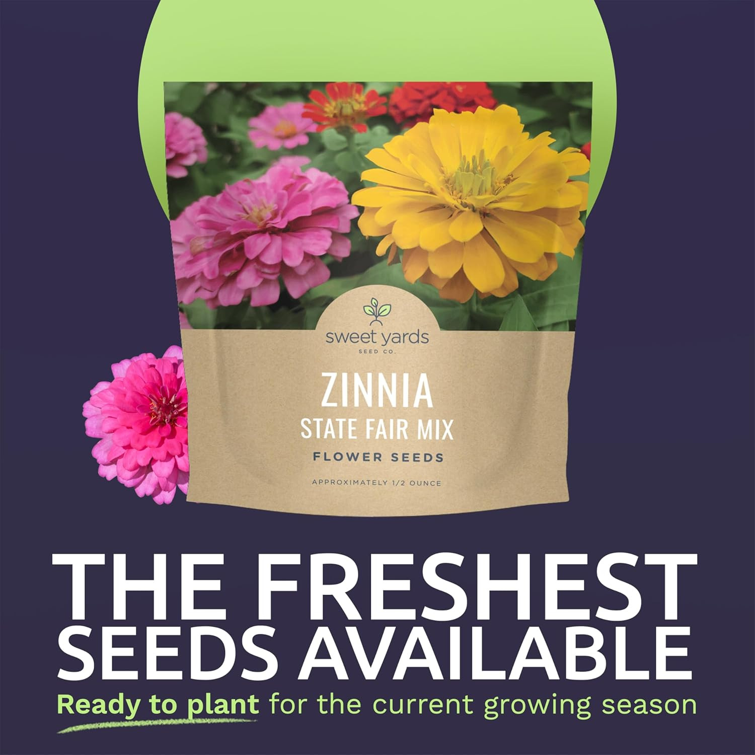 Zinnia State Fair Mix – Large 1/2 Ounce Seed Packet – 1,000 Flower Seeds for Pla gallery