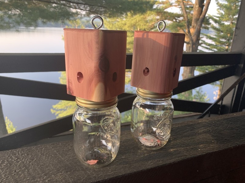 6 Red Cedar carpenter bee-bore cedar traps FREE SHIPPING gallery