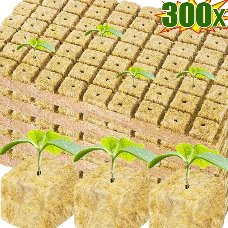 Stonewool Hydroponic Grow Media Cubes Plant Cube Soilless Substrate Seeded Plant gallery